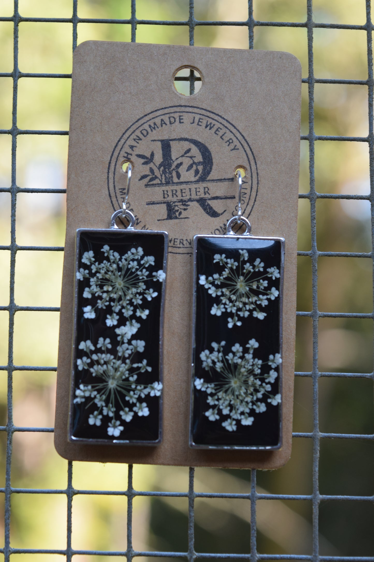 Queen Anne’s Lace