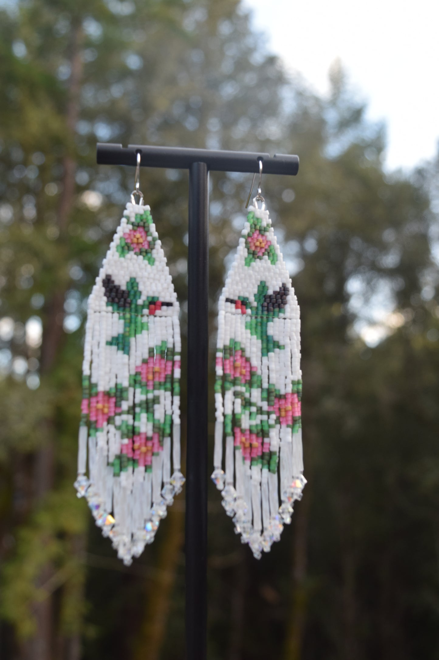 Shimmering Hummingbird