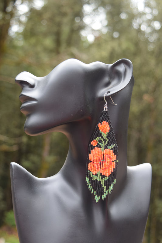 Poppies
